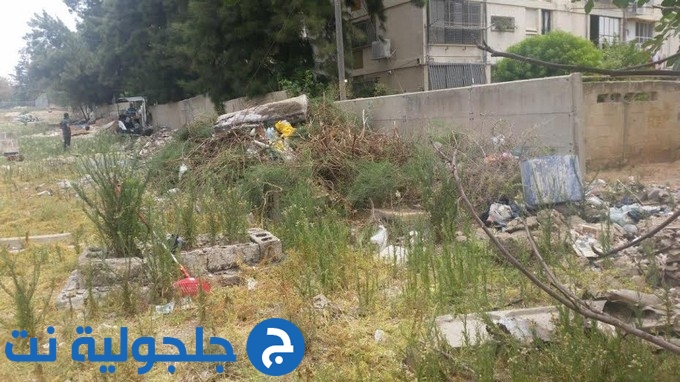أعمال تنظيف في مقبرة الشيخ مراد في يافا