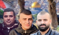  3 شهداء برصاص الجيش الاسرائيلي في جنين