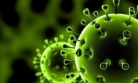 تسجيل أول وفاة في البلاد بسبب فيروس كورونا