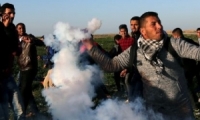 غزة: استعدادت للجمعة الـ42 من مسيرات العودة