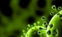 وزارة الصحة: ارتفاع عدد المصابين بفيروس الكورونا الى 8018 و46 حالة وفاة