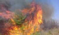 اندلاع حرائق ضخمة في مناطق مختلفة في لبنان