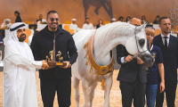 محمد الشيخ يقود الخيول الفلسطينية إلى إنجاز مشرف في بطولة دبي الدولية للجواد العربي 2026