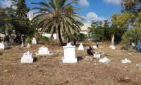 يوم تطوعي في مقبرة القسام في حيفا