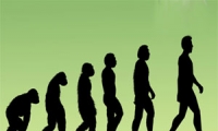 ما هي نظرية التطور ، هل حقا اصل الانسان من القرود ؟
