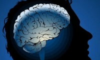 أطباء يكشفون لغز وجود ثنيات في دماغنا