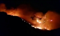 النيران تلتهم جزر الكناري وإجلاء حوالي ألف شخص