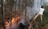 حرائق الغابات تودي بحياة 11 شخصا في تشيلي