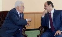 عباس يلتقي الرئيس المصري والرئيس الملك 