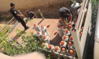 اعتقال شاب ومصادرة 48 أسطوانة غاز