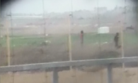 الجيش الإسرائيلي يحقق بفيديو يوثق جنود يهللون بعد استهداف فلسطيني اعزل