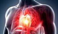تجارب على أول قلب نابض من السيليكون
