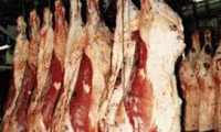ضبط 350 كغم من اللحوم الفاسدة في طوبا الزنغرية