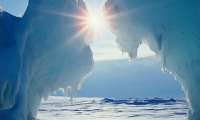 تسجيل أعلى درجة لحرارة الجو في القطب الشمالي
