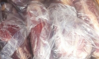 إحباط تهريب نحو 2 طن من اللحوم غير الصالحة للاستهلاك
