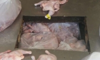 الشرطة تضبط اكثر من نصف طن من اللحوم غير الصالحة