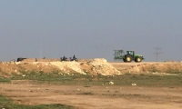 تدمير وإبادة محاصيل زراعية في وادي النعم