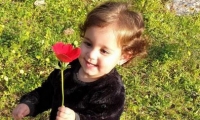 مصرع الطفلة شمس حلمي سهيل غزاوي (3 سنوات) بعد تعرضها للدهس