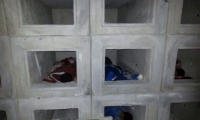 اعتقال 7 فلسطينيين بشبهة الإقامة غير الشرعية بمقبرة في هرتسليا