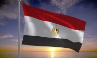مصرع 3 وإصابة 500 بلدغ عقارب جنوبي مصر