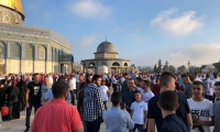 100 ألف مصل أدوا صلاة عيد الأضحى في الأقصى