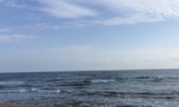 وفاة رجل بعد فقدانه الوعي خلال السباحة في عين بوكيك بمنطقة البحر الميت
