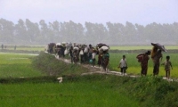 توقعات أممية بفرار نحو 300 ألف من الروهينغا إلى بنغلادش