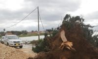 80 مليون  شيكل أضرار انقطاعات الكهرباء في منطقة الشارون 
