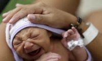 منظمة الصحة العالمية تعلن حالة الطوارئ بسبب فيروس زيكا