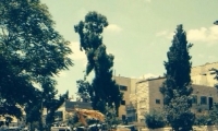 مقتل عربي سائق جرافة على يد شرطي في القدس بإدعاء محاولته الاصطدام بحافلة