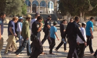 38 مستوطن و 50 طالب يهودي يقتحمون المسجد الاقصى