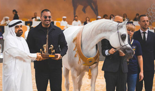 محمد الشيخ يقود الخيول الفلسطينية إلى إنجاز مشرف في بطولة دبي الدولية للجواد العربي 2026