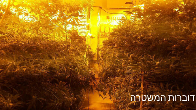 ضبط نحو 60 كلغم من المخدرات في شقة سكنية