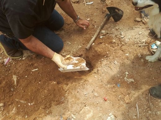 ضبط كوكائين وحشيش واعتقال مشتبه عربي 