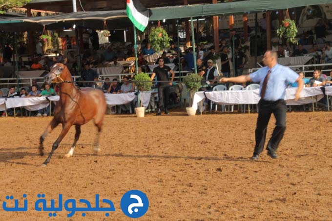 شاكره باشا تحصل على المرتبة الثالثة في  بطولة فلسطين لجمال الخيل 