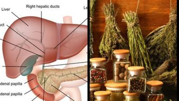 6 علاجات طبيعية للوقاية من أمراض الكبد