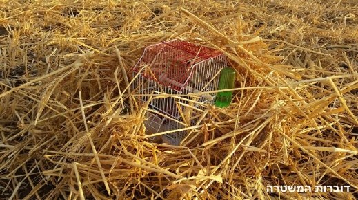 اعتقال مشتبهون عرب بشبهة صيد طيور الحسون 