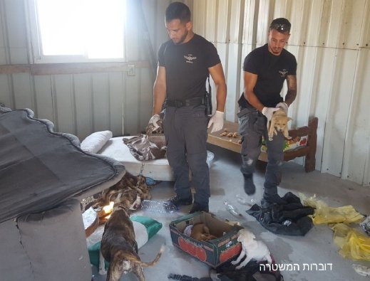 اعتقال مشتبه بالتنكيل بالحيوانات بعد العثور عليها بأوضاع مزرية