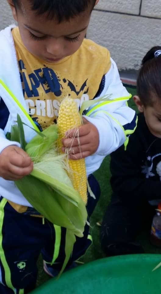 الحضانات في كفرا_تنافس يولد نجاح وبالنجاح يتحقق الهدف