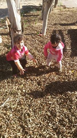 الحضانات في كفرا_تنافس يولد نجاح وبالنجاح يتحقق الهدف