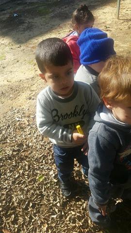 الحضانات في كفرا_تنافس يولد نجاح وبالنجاح يتحقق الهدف