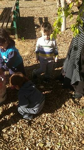 الحضانات في كفرا_تنافس يولد نجاح وبالنجاح يتحقق الهدف