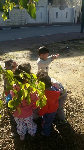 الحضانات في كفرا_تنافس يولد نجاح وبالنجاح يتحقق الهدف