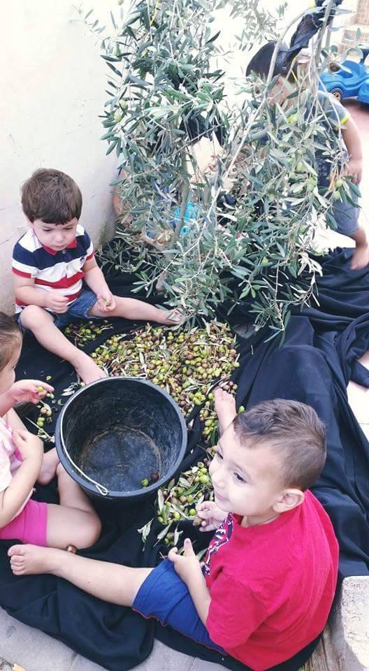 الحضانات في كفرا_تنافس يولد نجاح وبالنجاح يتحقق الهدف