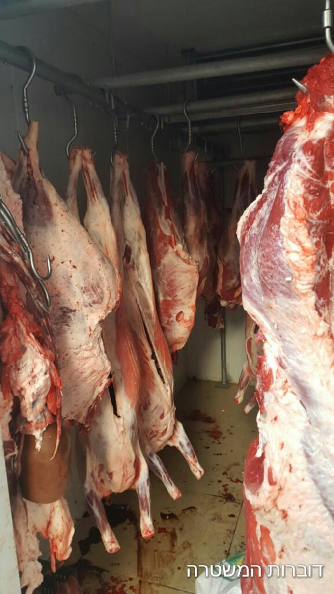 ضبط 1.5 طن اللحوم المذبوحة بدون رقابة