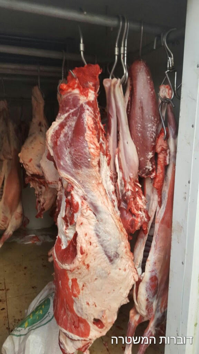 ضبط 1.5 طن اللحوم المذبوحة بدون رقابة