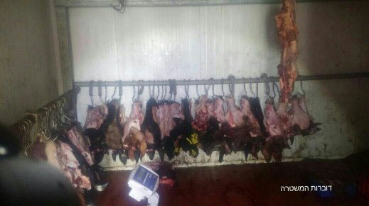 ضبط 4 طن من اللحوم المهربة واعتقال مشتبه