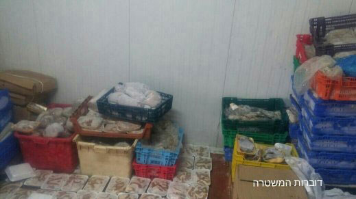 ضبط 4 طن من اللحوم المهربة واعتقال مشتبه