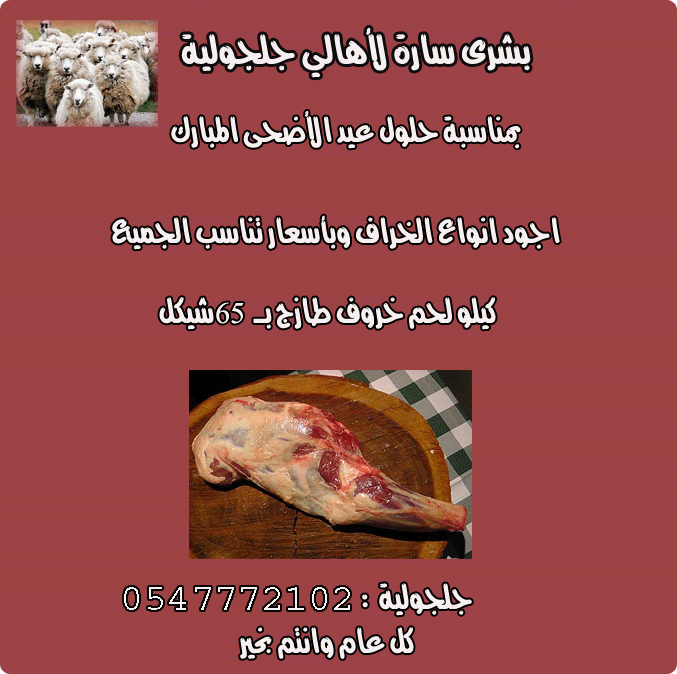 بشرى لأهالي جلجولية - أجود انواع الخراف بأسعار تناسب الجميع