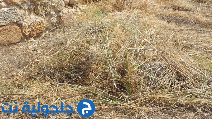 حملة تنظيف الخان في جلجولية 